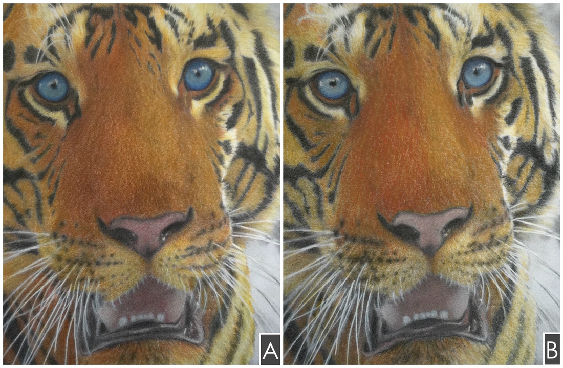 Prismacolor Premiers vs. Faber Castell Polychromos colored pencils over  grayscale - Huelish Grayscale Adult Coloring Books